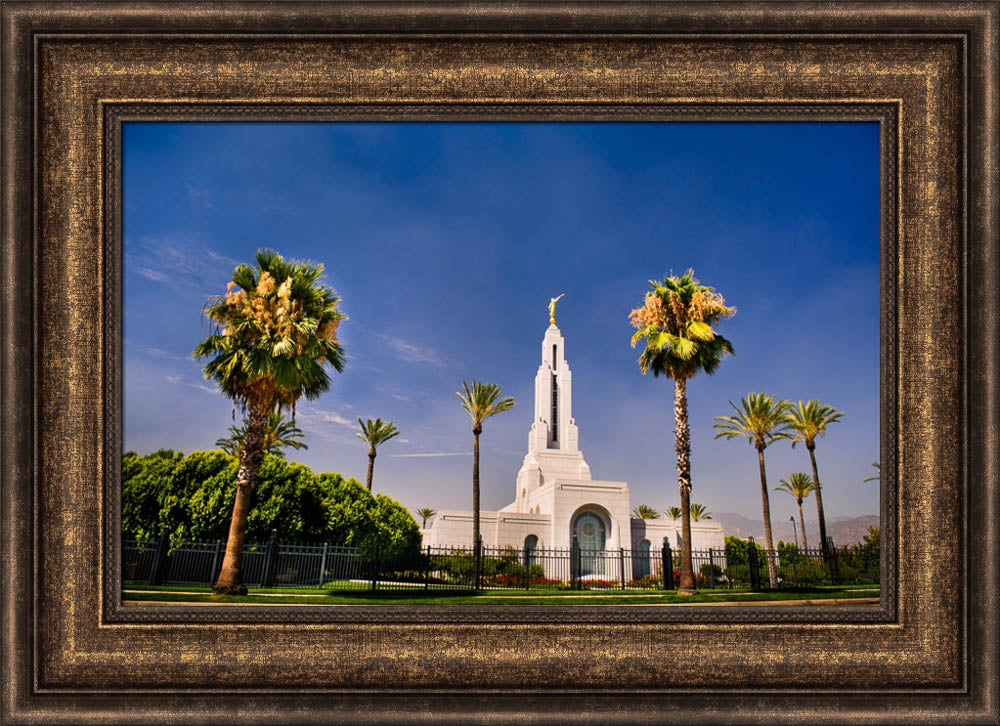 Redlands Temple - Through the Trees by Scott Jarvie