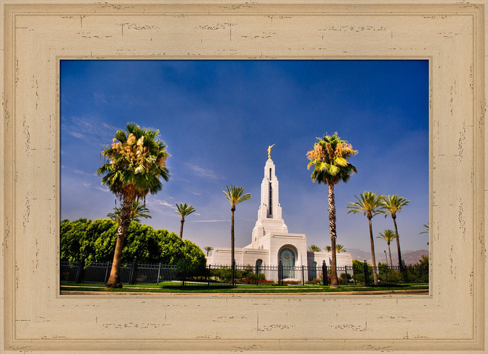 Redlands Temple - Through the Trees by Scott Jarvie