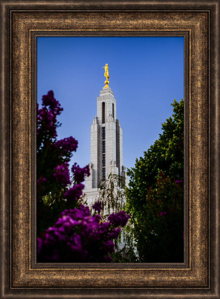 Redlands Temple - Spire by Scott Jarvie