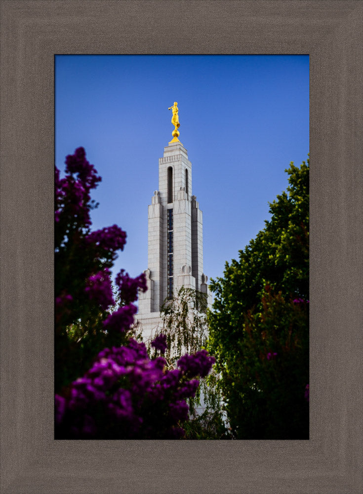 Redlands Temple - Spire by Scott Jarvie