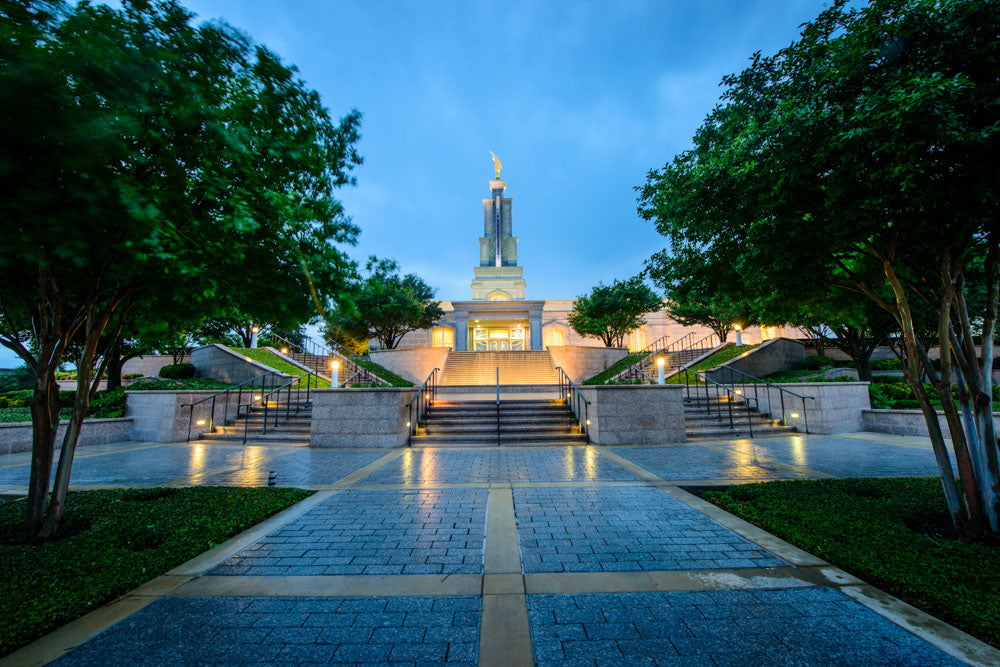 San Antonio Temple - Leading to the Temple by Scott Jarvie