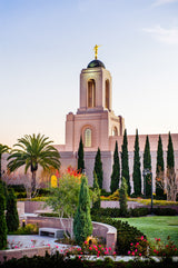 Newport Beach Temple - Vertical Vegitation by Scott Jarvie