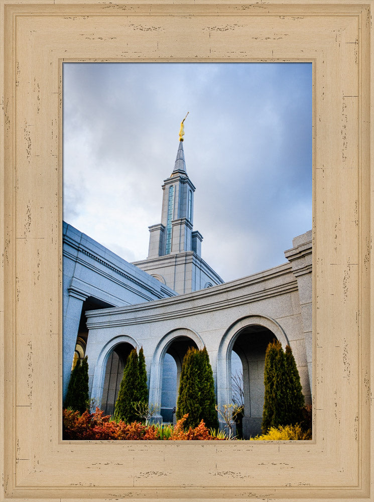 Sacramento Temple - Looking Up by Scott Jarvie