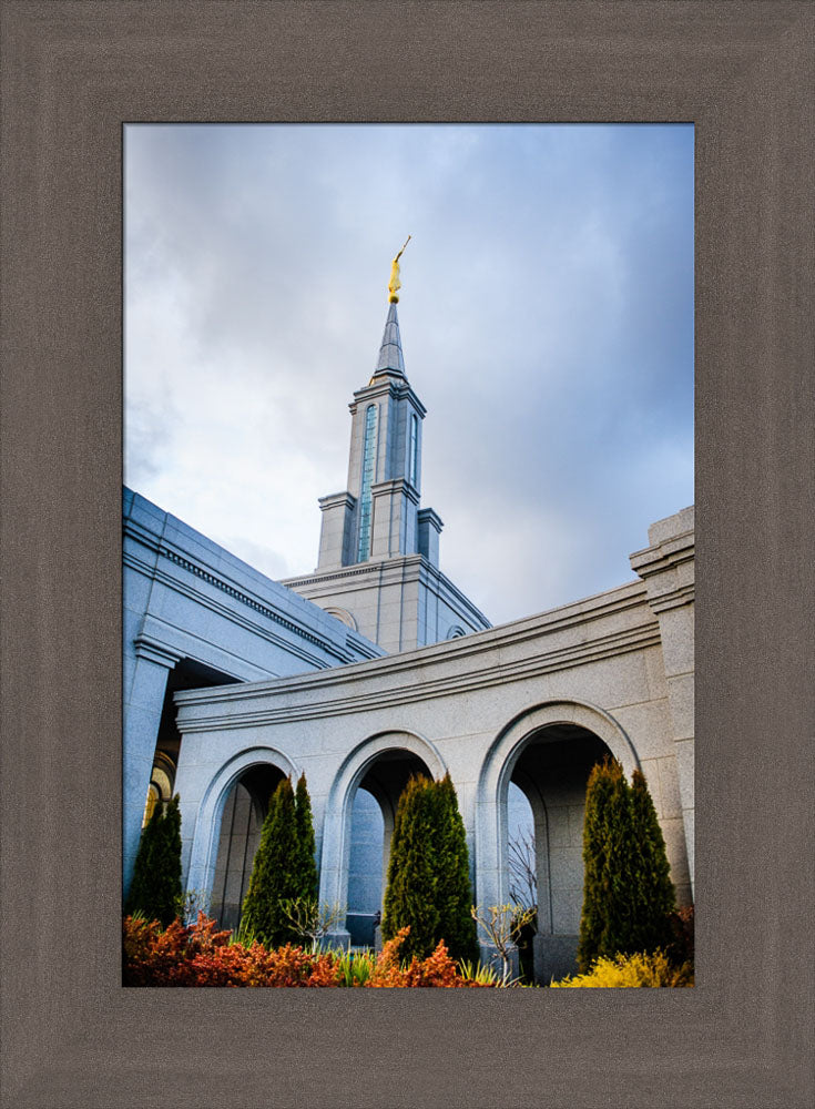 Sacramento Temple - Looking Up by Scott Jarvie