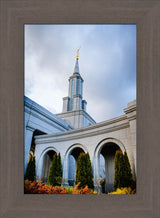 Sacramento Temple - Looking Up by Scott Jarvie