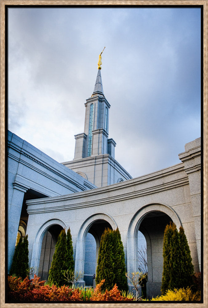 Sacramento Temple - Looking Up by Scott Jarvie