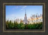 Twin Falls Temple - Harvest by Scott Jarvie