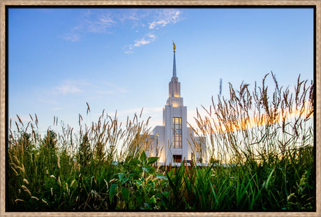 Twin Falls Temple - Harvest by Scott Jarvie