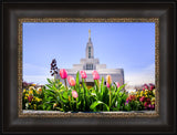 Draper Temple - Tulips by Scott Jarvie