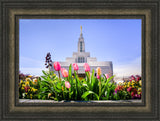 Draper Temple - Tulips by Scott Jarvie