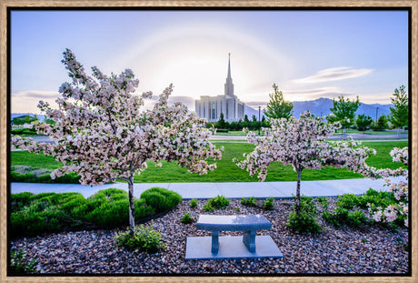 Oquirrh Mountain Temple - Flower Trees and Sun by Scott Jarvie