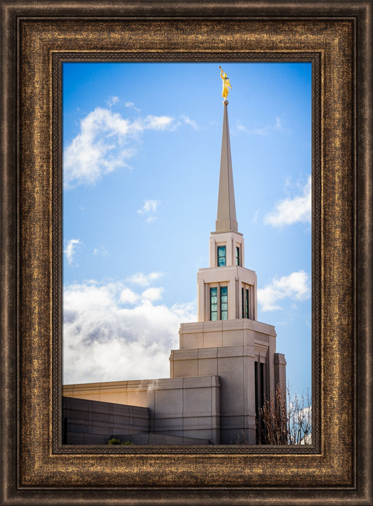 Gila Valley Temple - Spire by Scott Jarvie