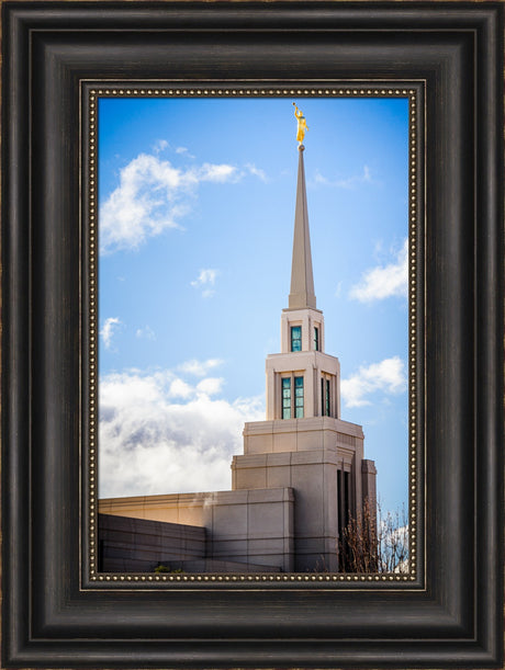 Gila Valley Temple - Spire by Scott Jarvie