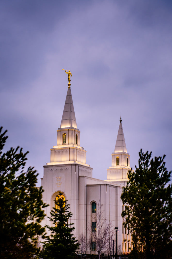 Kansas City Temple - Through the Trees by Scott Jarvie