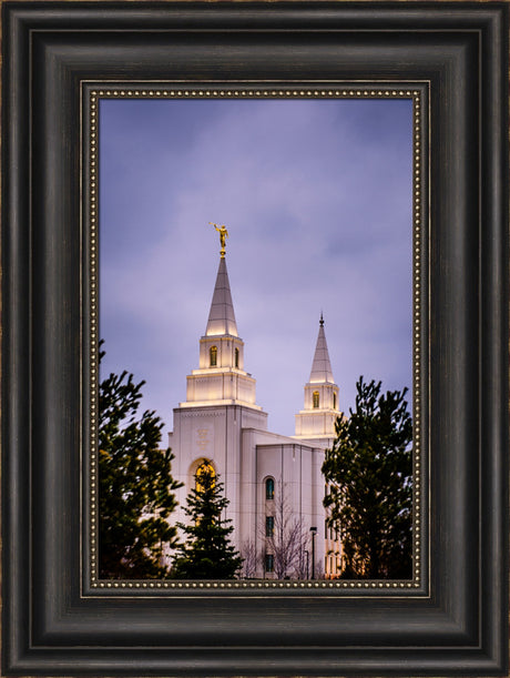 Kansas City Temple - Through the Trees by Scott Jarvie