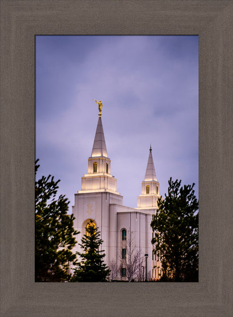 Kansas City Temple - Through the Trees by Scott Jarvie