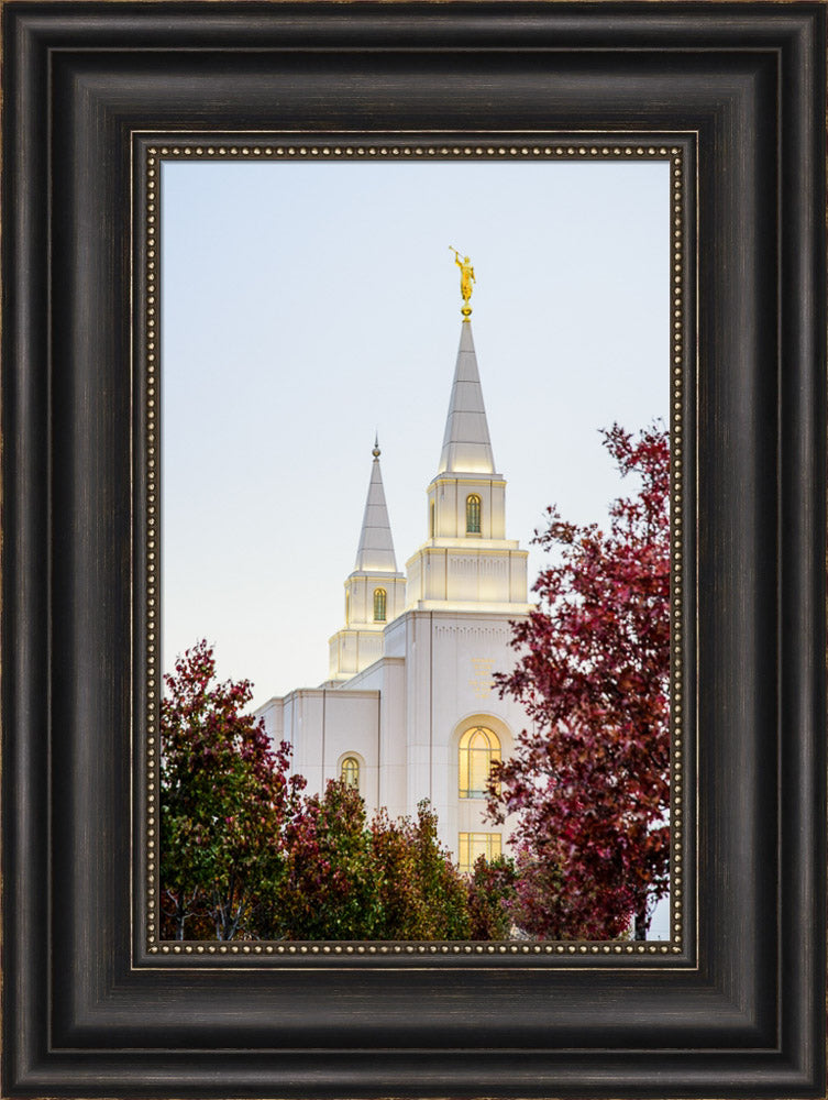 Kansas City Temple - Spires by Scott Jarvie