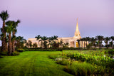 Fort Lauderdale Temple - Palm Trees by Scott Jarvie