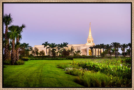 Fort Lauderdale Temple - Palm Trees by Scott Jarvie