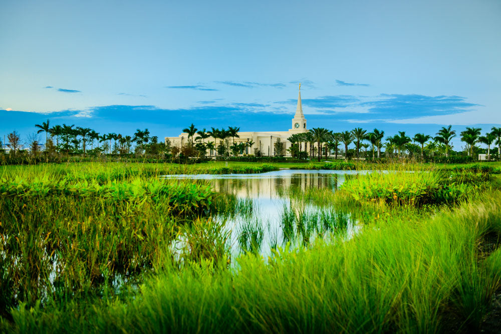 Fort Lauderdale Temple - Green Swamp by Scott Jarvie