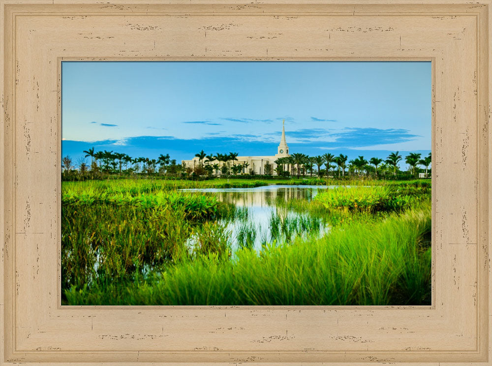 Fort Lauderdale Temple - Green Swamp by Scott Jarvie