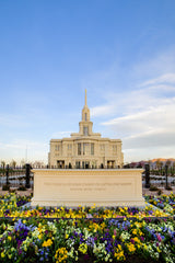 Payson Temple - Signs and Flowers by Scott Jarvie