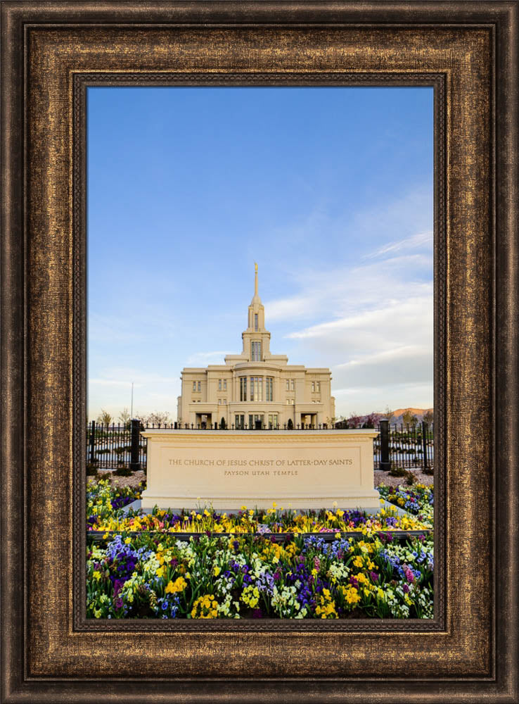 Payson Temple - Signs and Flowers by Scott Jarvie