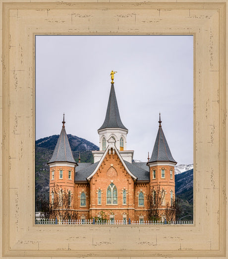 Provo City Center Temple - Spires by Scott Jarvie