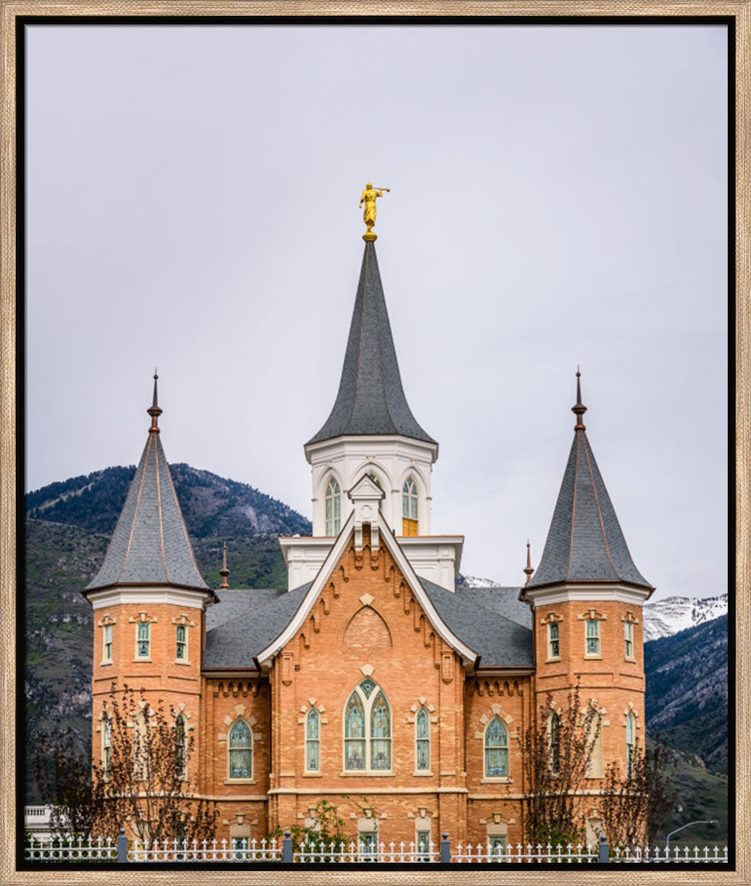 Provo City Center Temple - Spires by Scott Jarvie