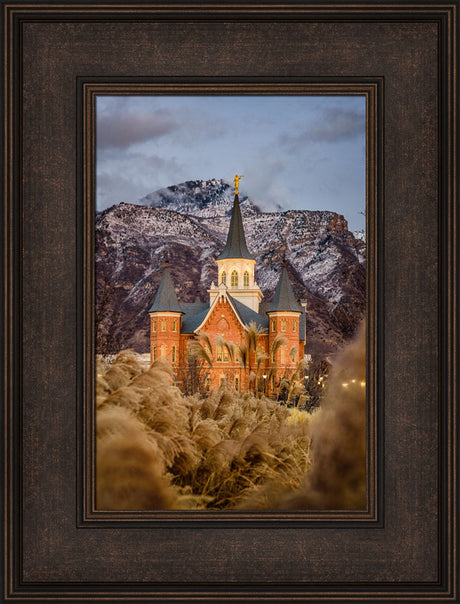 Provo City Center Temple - Fall Reeds by Scott Jarvie