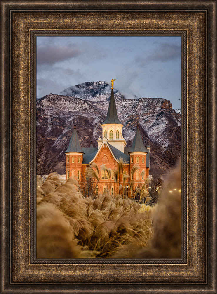 Provo City Center Temple - Fall Reeds by Scott Jarvie