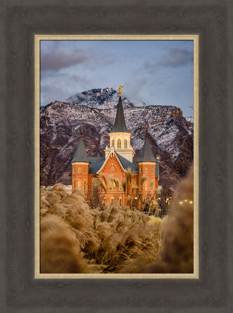 Provo City Center Temple - Fall Reeds by Scott Jarvie