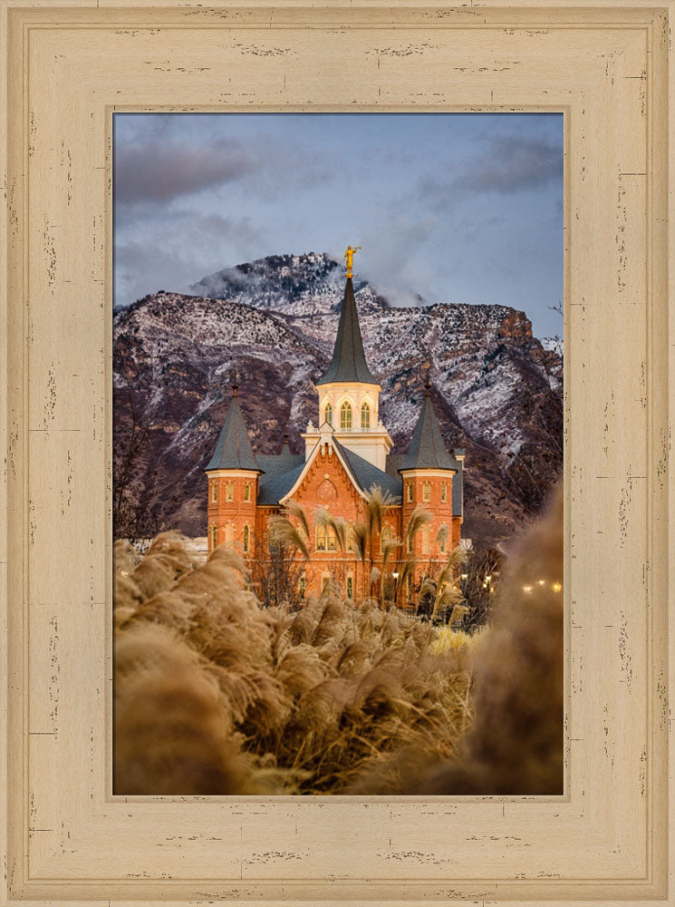 Provo City Center Temple - Fall Reeds by Scott Jarvie