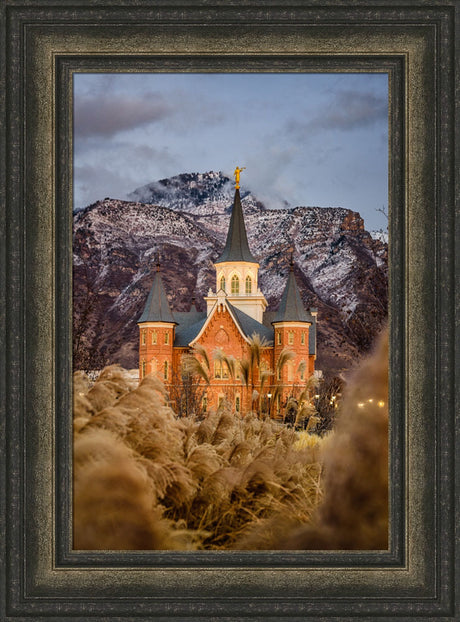 Provo City Center Temple - Fall Reeds by Scott Jarvie