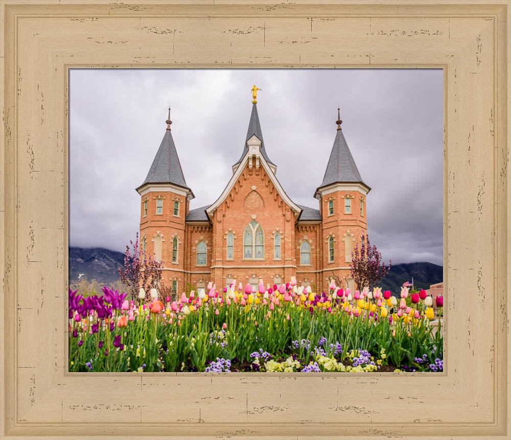 Provo City Center Temple - Springtime Tulips by Scott Jarvie