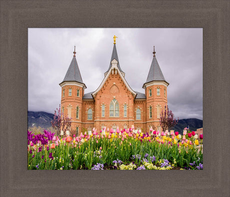 Provo City Center Temple - Springtime Tulips by Scott Jarvie