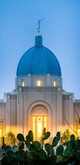 Tucson Temple - Cactus Twilight by Scott Jarvie