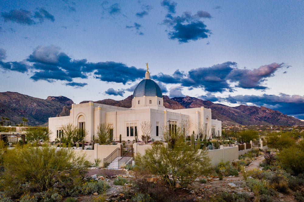 Tucson Temple - Desert Landscape by Scott Jarvie