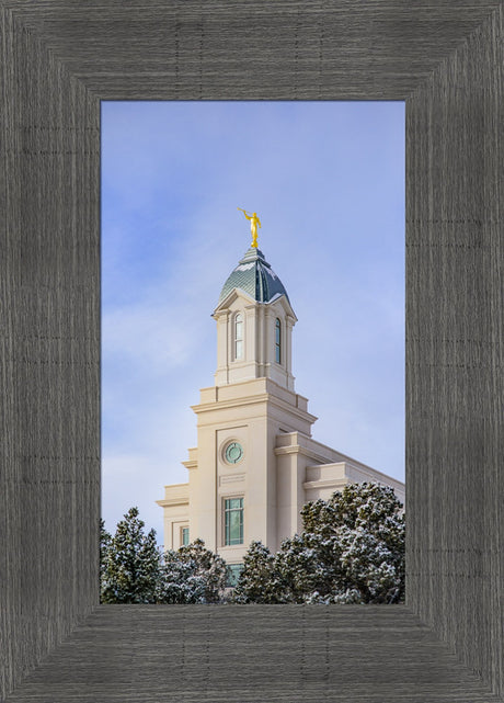 Cedar City Temple - Reaching up by Scott Jarvie