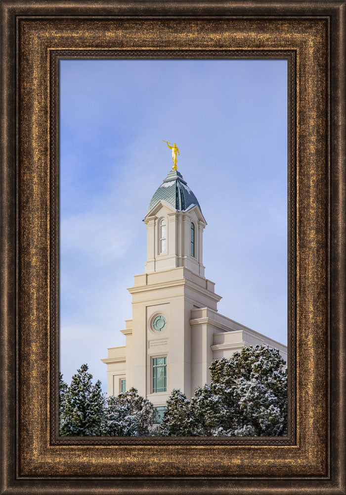 Cedar City Temple - Reaching up by Scott Jarvie